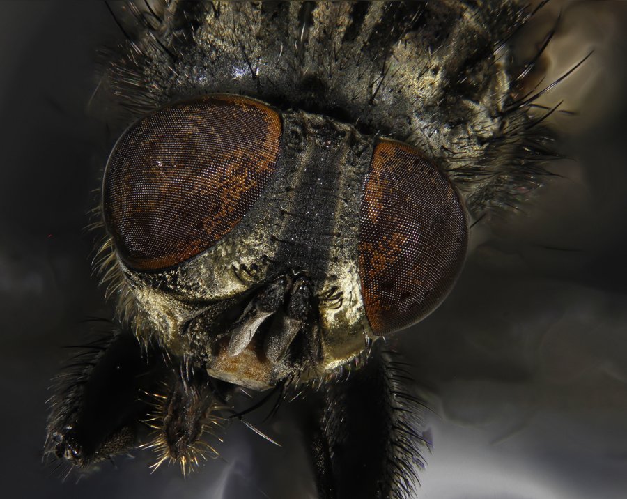 ApiladoH000377_1.jpg