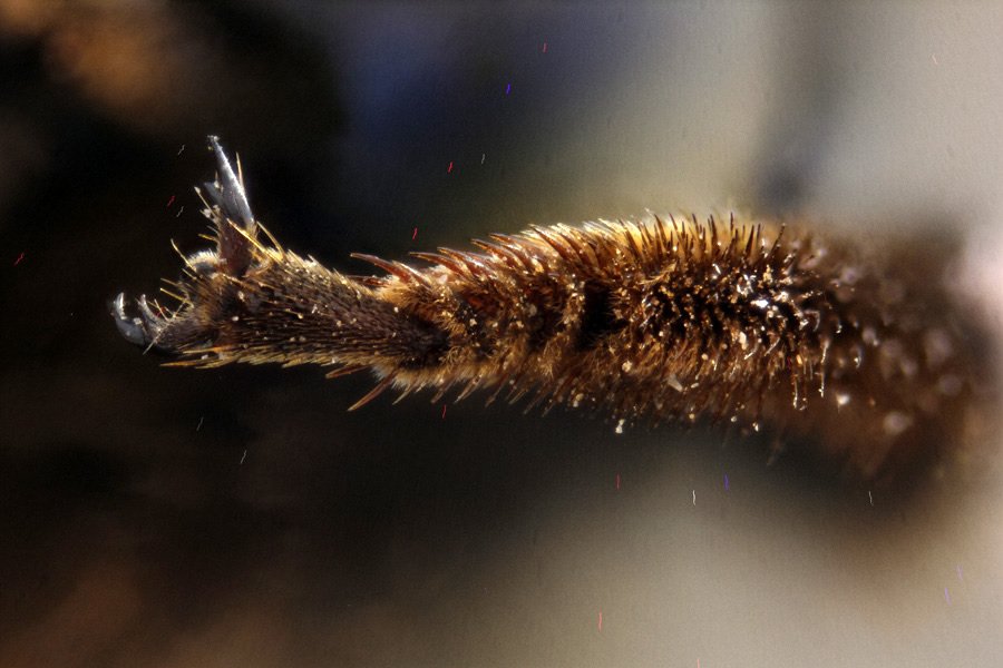 ApiladoH001810p.jpg