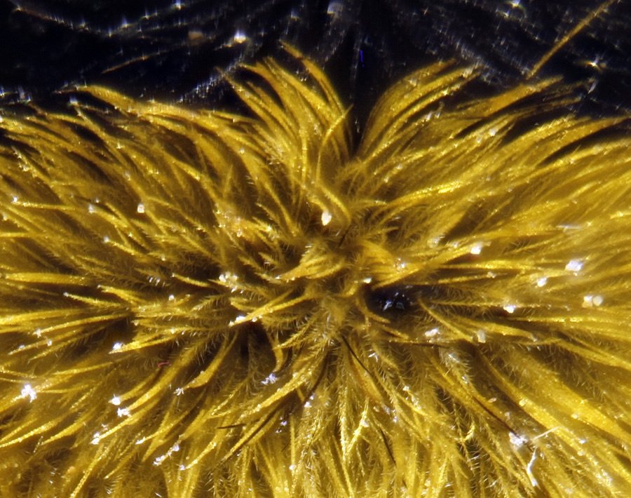ApiladoH001872_2p.jpg