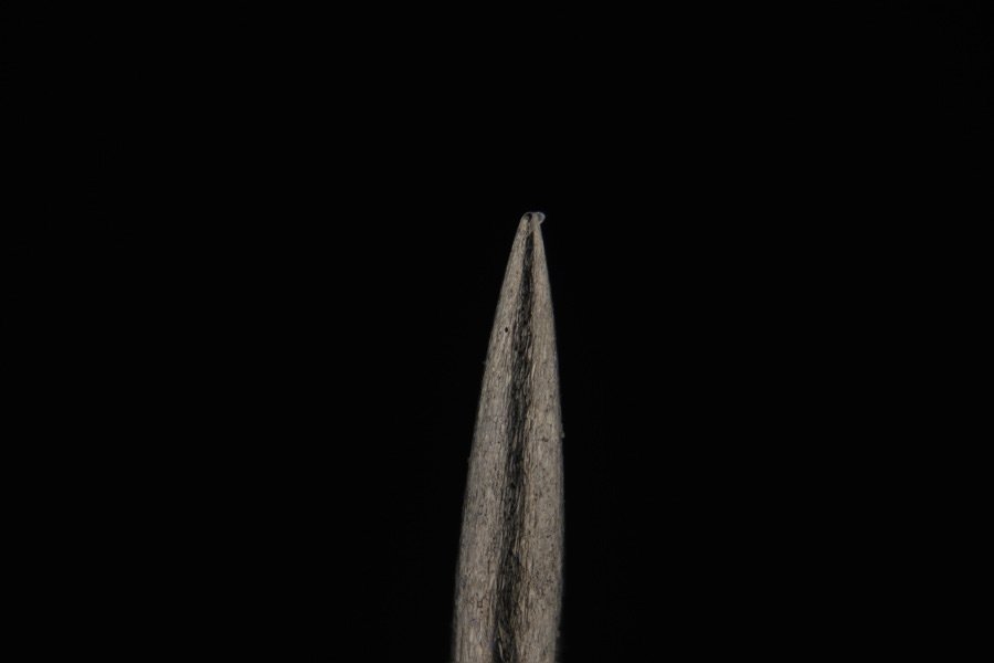 ApiladoH003017p.jpg